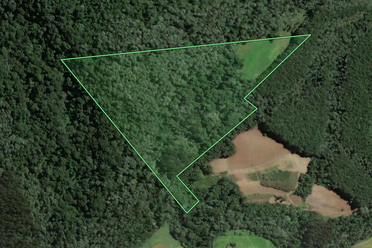 Imagem de satélite do imóvel rural em Santa Terezinha (SC), com o contorno declarado no CAR desenhado por cima.
