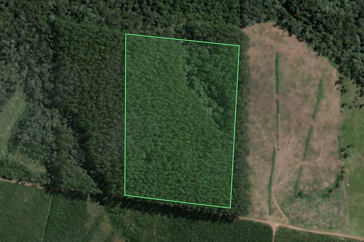 Imagem de satélite do imóvel rural em Santa Terezinha (SC), com o contorno declarado no CAR desenhado por cima.