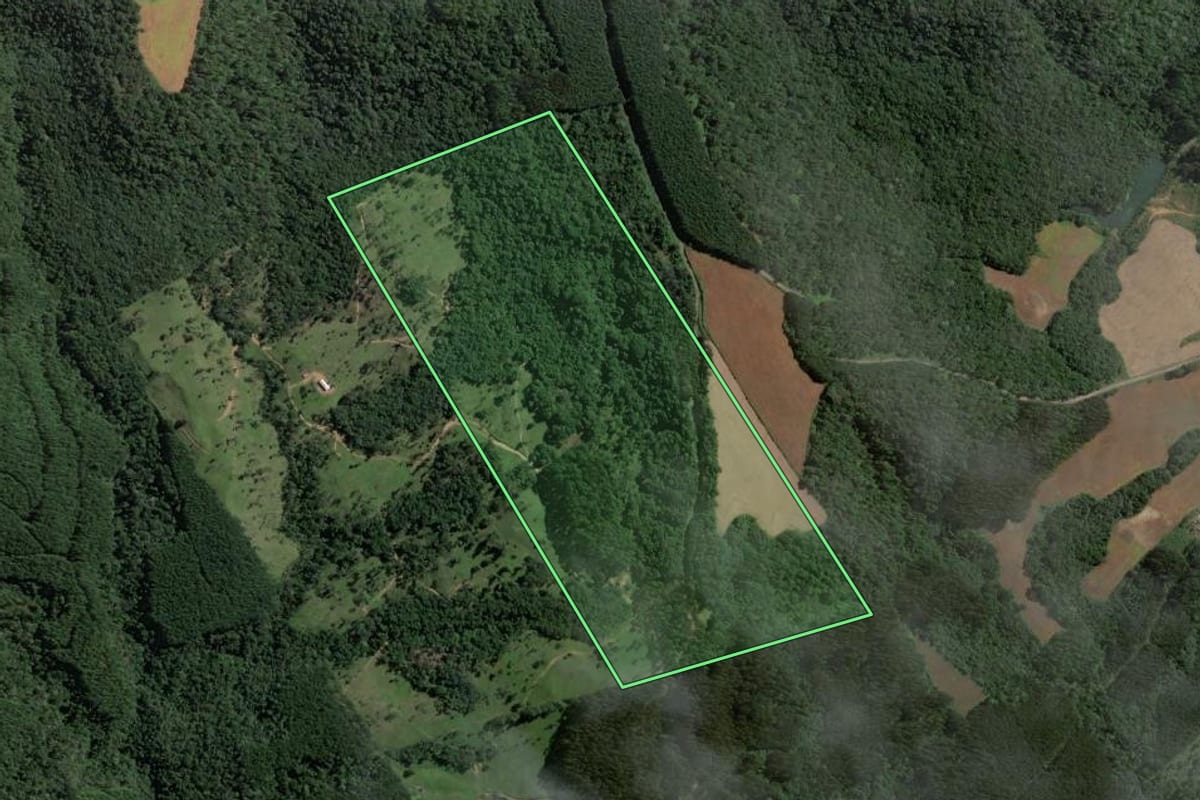 Imagem de satélite do imóvel rural em Santa Terezinha (SC), com o contorno declarado no CAR desenhado por cima.
