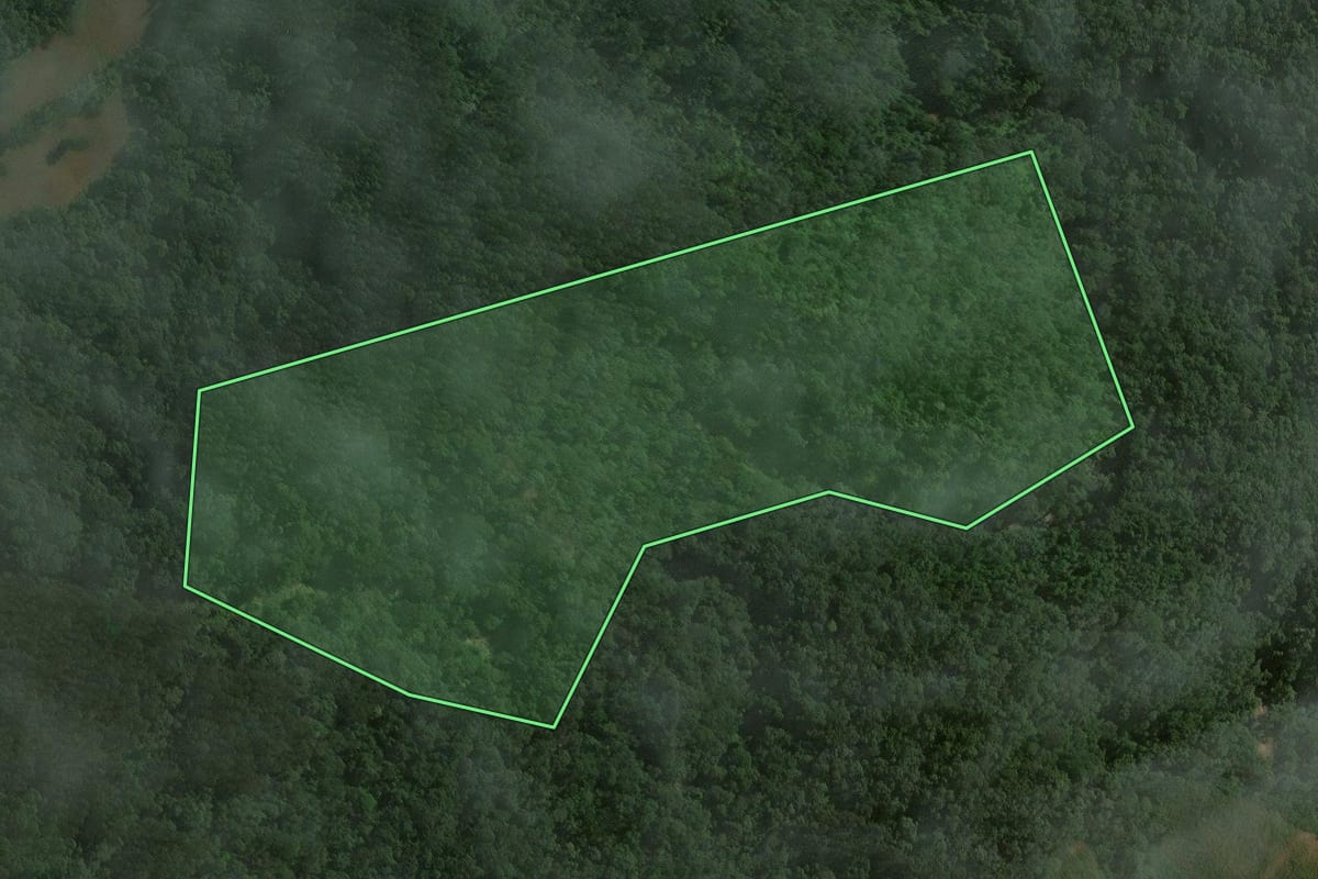 Imagem de satélite do imóvel rural em Santa Terezinha (SC), com o contorno declarado no CAR desenhado por cima.