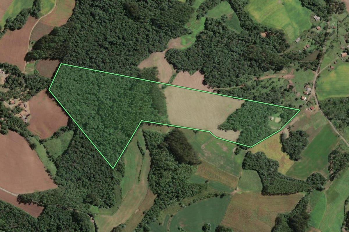 Imagem de satélite do imóvel rural em Santa Terezinha (SC), com o contorno declarado no CAR desenhado por cima.