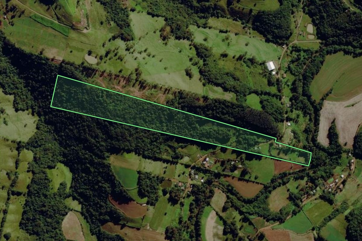 Imagem de satélite do imóvel rural em Santa Terezinha do Progresso (SC), com o contorno declarado no CAR desenhado por cima.