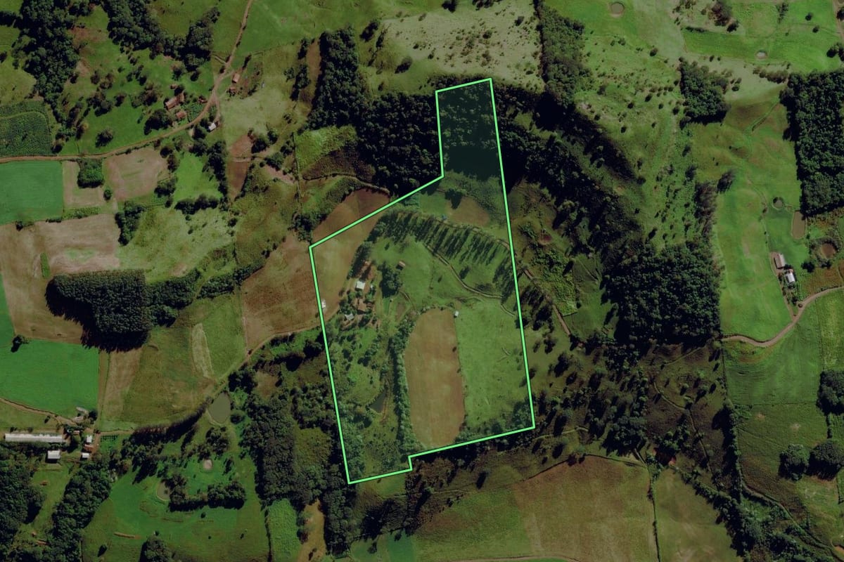 Imagem de satélite do imóvel rural em Santa Terezinha do Progresso (SC), com o contorno declarado no CAR desenhado por cima.