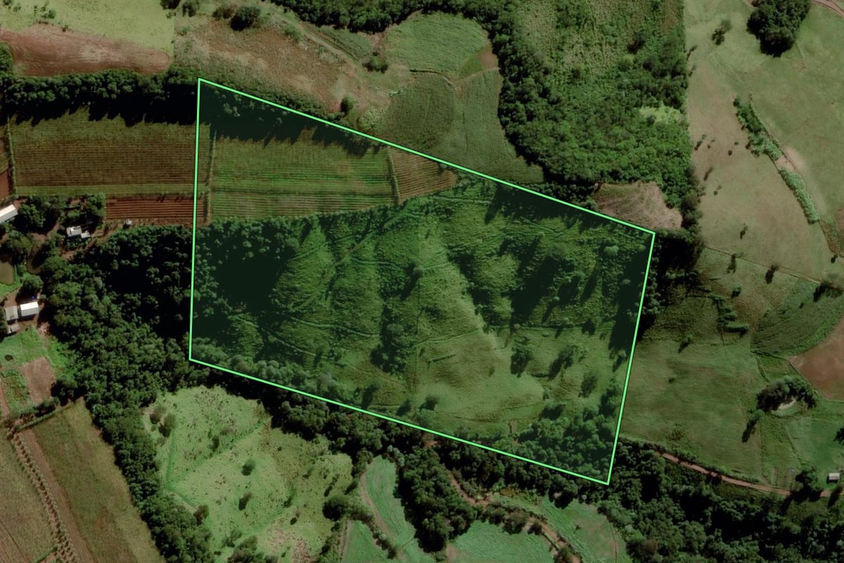 Imagem de satélite do imóvel rural em Santa Terezinha do Progresso (SC), com o contorno declarado no CAR desenhado por cima.