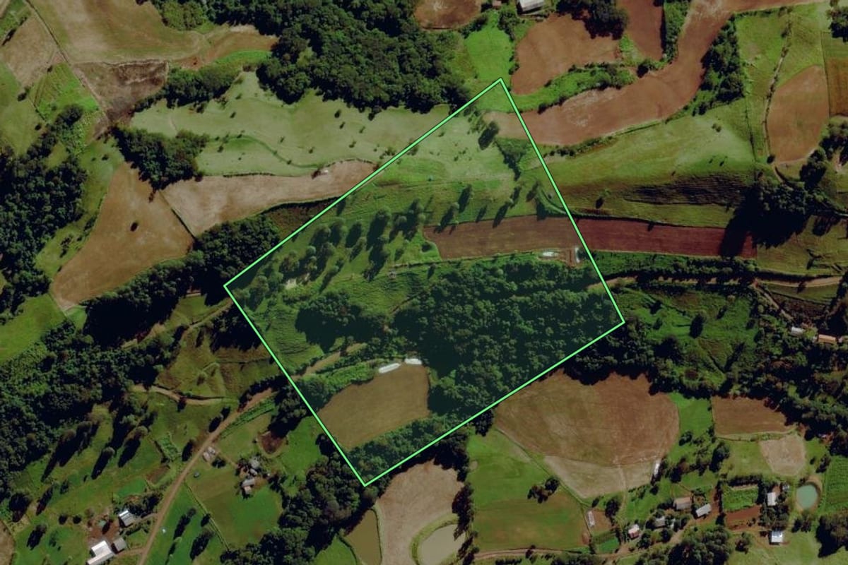 Imagem de satélite do imóvel rural em Santa Terezinha do Progresso (SC), com o contorno declarado no CAR desenhado por cima.