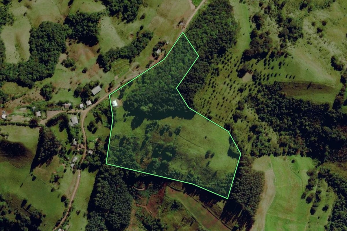 Imagem de satélite do imóvel rural em Santa Terezinha do Progresso (SC), com o contorno declarado no CAR desenhado por cima.