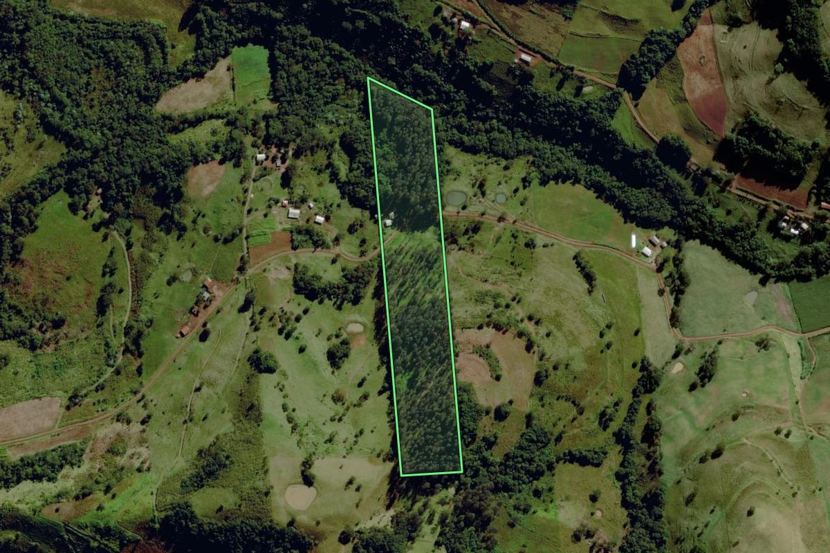 Imagem de satélite do imóvel rural em Santa Terezinha do Progresso (SC), com o contorno declarado no CAR desenhado por cima.