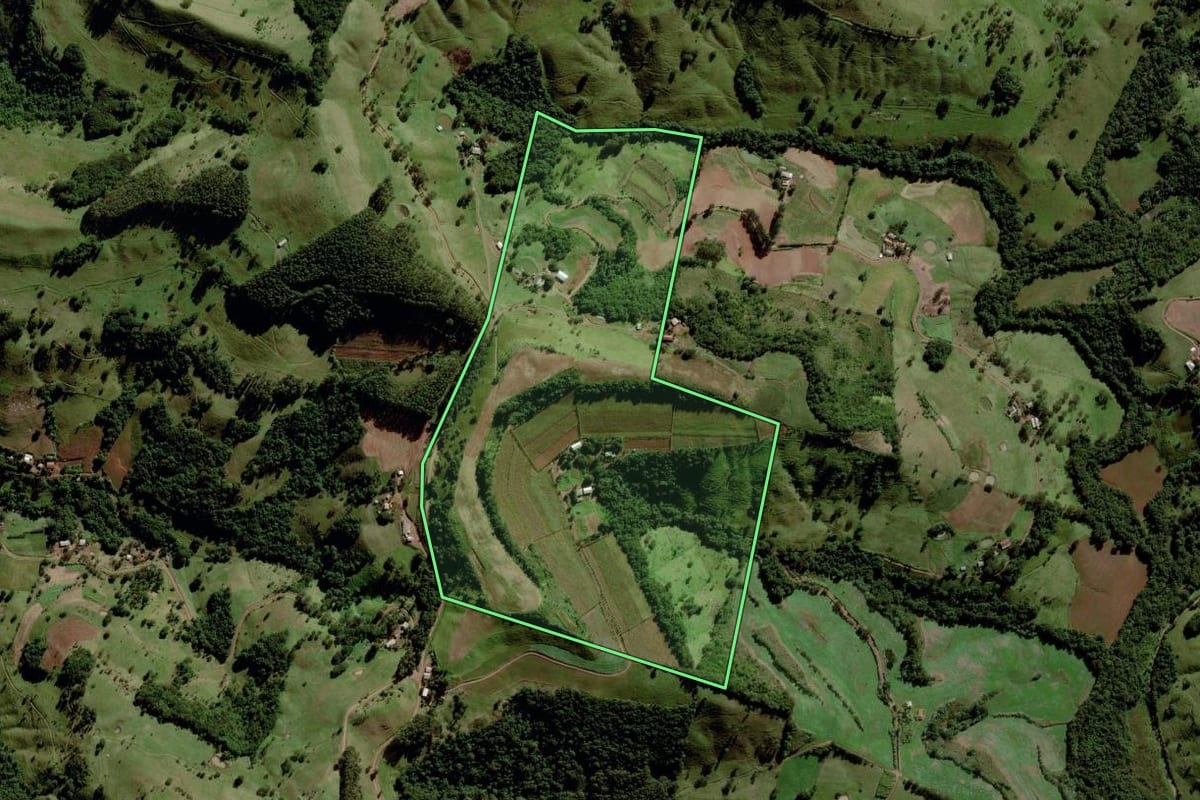 Imagem de satélite do imóvel rural em Santa Terezinha do Progresso (SC), com o contorno declarado no CAR desenhado por cima.