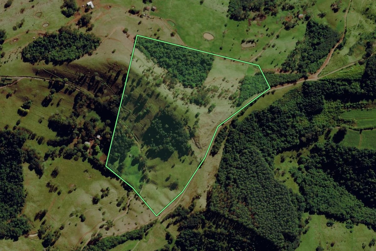 Imagem de satélite do imóvel rural em Santa Terezinha do Progresso (SC), com o contorno declarado no CAR desenhado por cima.