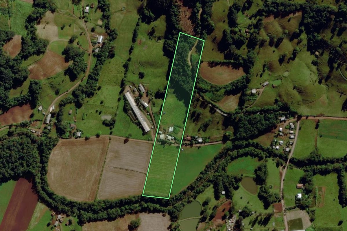 Imagem de satélite do imóvel rural em Santa Terezinha do Progresso (SC), com o contorno declarado no CAR desenhado por cima.