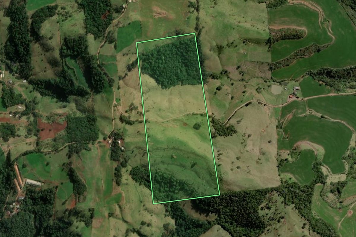 Imagem de satélite do imóvel rural em Santiago do Sul (SC), com o contorno declarado no CAR desenhado por cima.