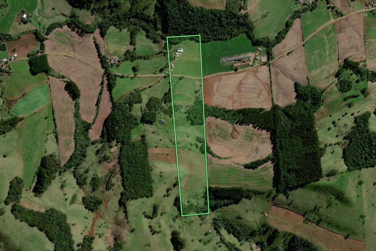 Imagem de satélite do imóvel rural em Santiago do Sul (SC), com o contorno declarado no CAR desenhado por cima.