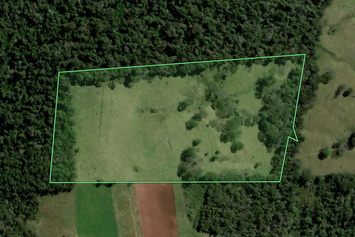 Imagem de satélite do imóvel rural em Santiago do Sul (SC), com o contorno declarado no CAR desenhado por cima.