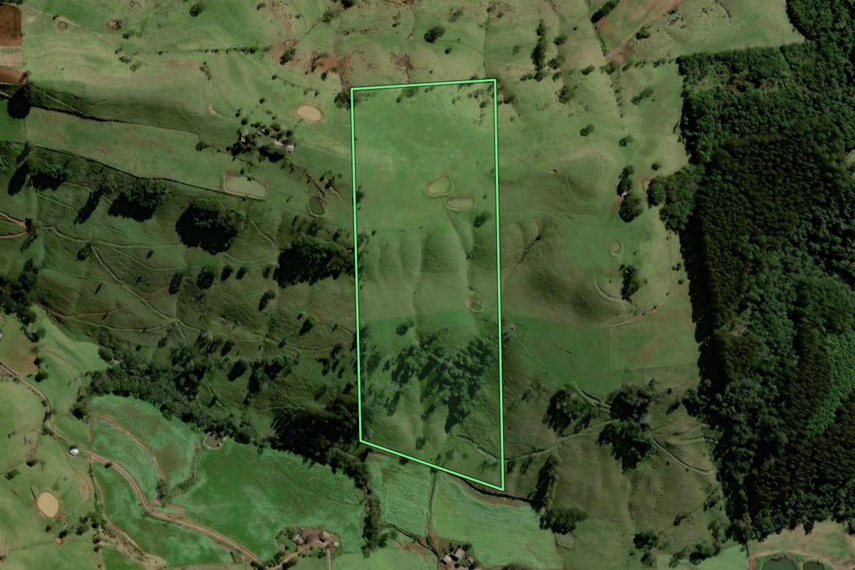 Imagem de satélite do imóvel rural em Santiago do Sul (SC), com o contorno declarado no CAR desenhado por cima.