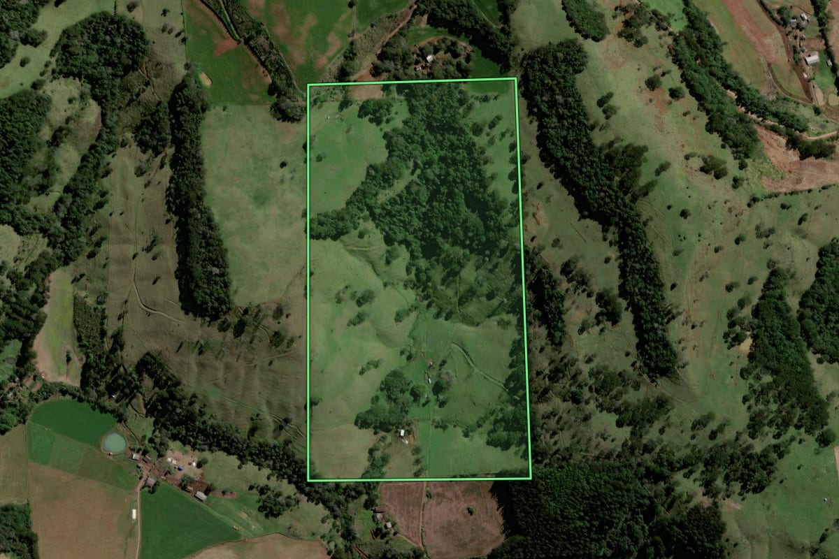Imagem de satélite do imóvel rural em Santiago do Sul (SC), com o contorno declarado no CAR desenhado por cima.