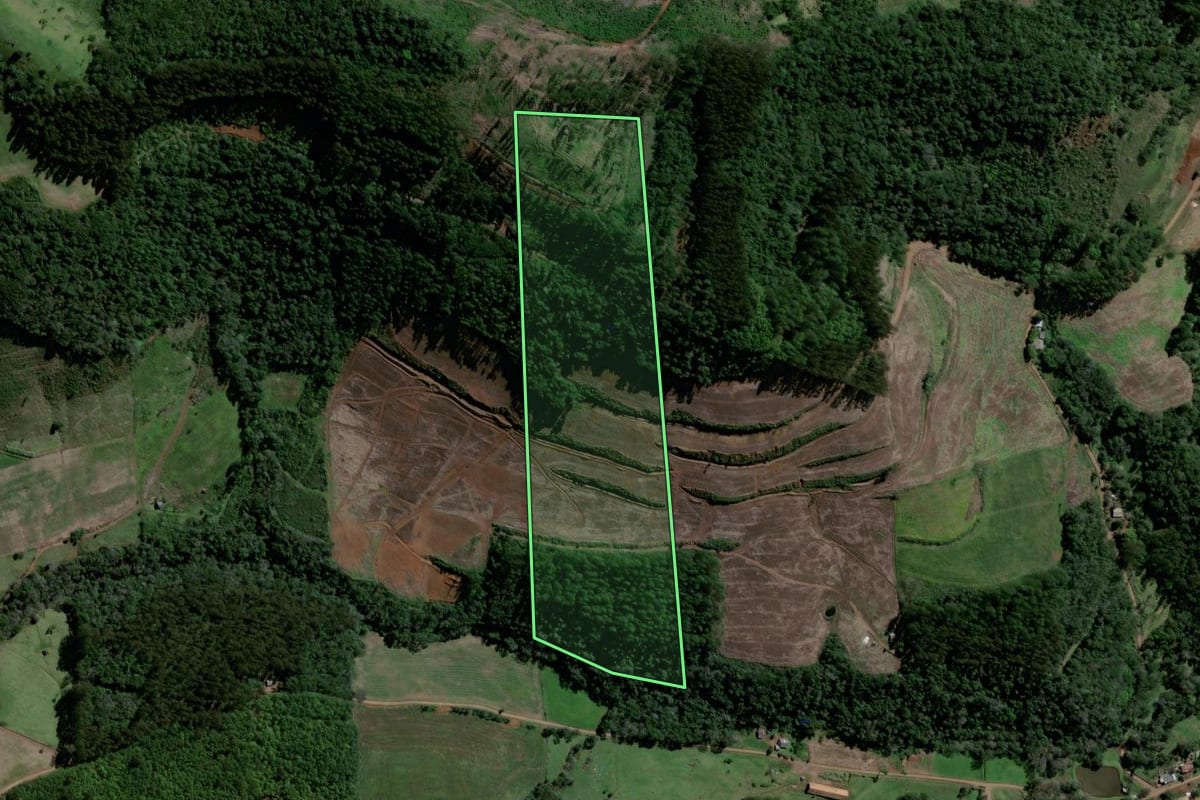 Imagem de satélite do imóvel rural em Santiago do Sul (SC), com o contorno declarado no CAR desenhado por cima.