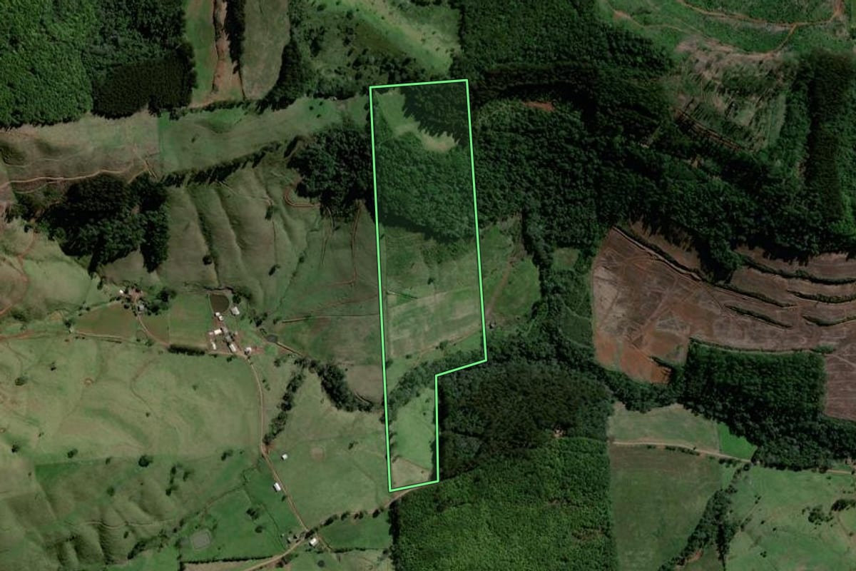 Imagem de satélite do imóvel rural em Santiago do Sul (SC), com o contorno declarado no CAR desenhado por cima.