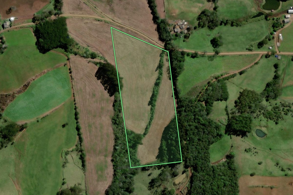 Imagem de satélite do imóvel rural em Santiago do Sul (SC), com o contorno declarado no CAR desenhado por cima.