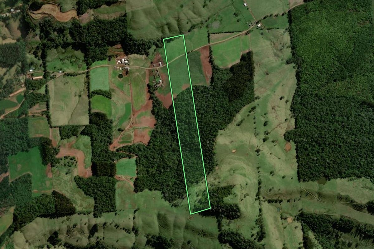 Imagem de satélite do imóvel rural em Santiago do Sul (SC), com o contorno declarado no CAR desenhado por cima.