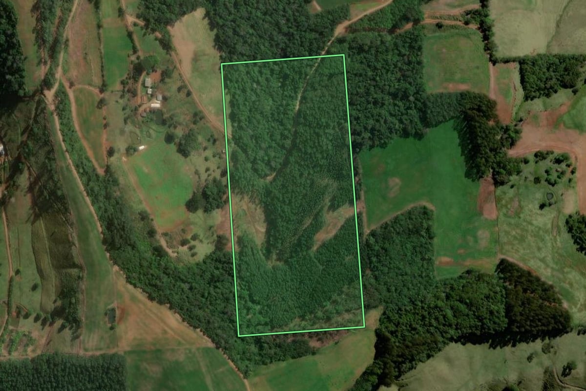 Imagem de satélite do imóvel rural em Santiago do Sul (SC), com o contorno declarado no CAR desenhado por cima.