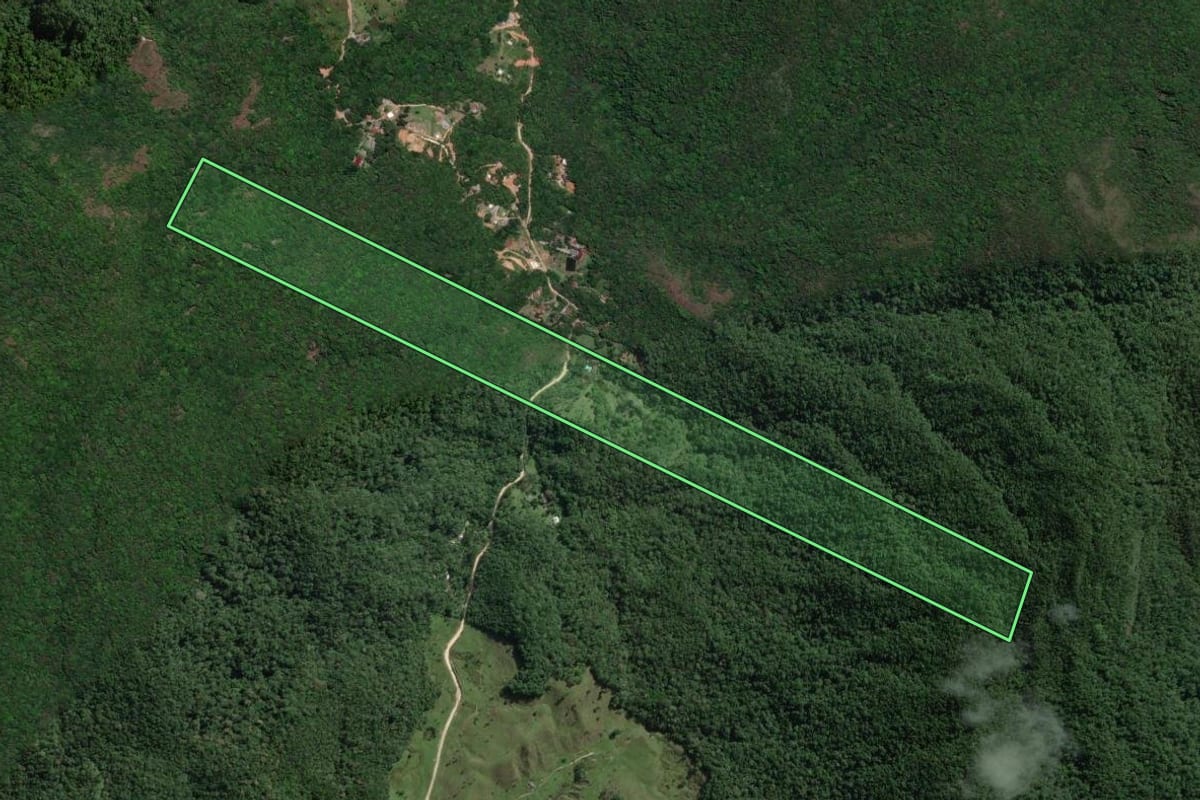Imagem de satélite do imóvel rural em Santo Amaro da Imperatriz (SC), com o contorno declarado no CAR desenhado por cima.