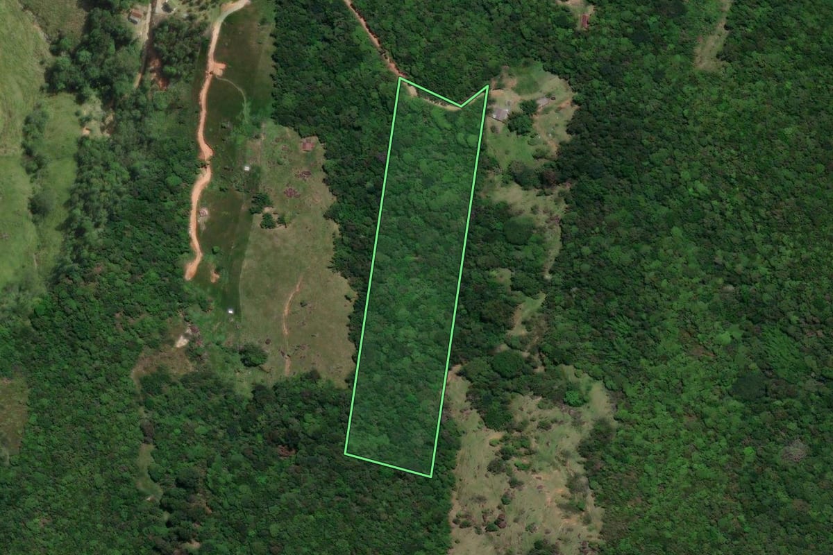 Imagem de satélite do imóvel rural em Santo Amaro da Imperatriz (SC), com o contorno declarado no CAR desenhado por cima.
