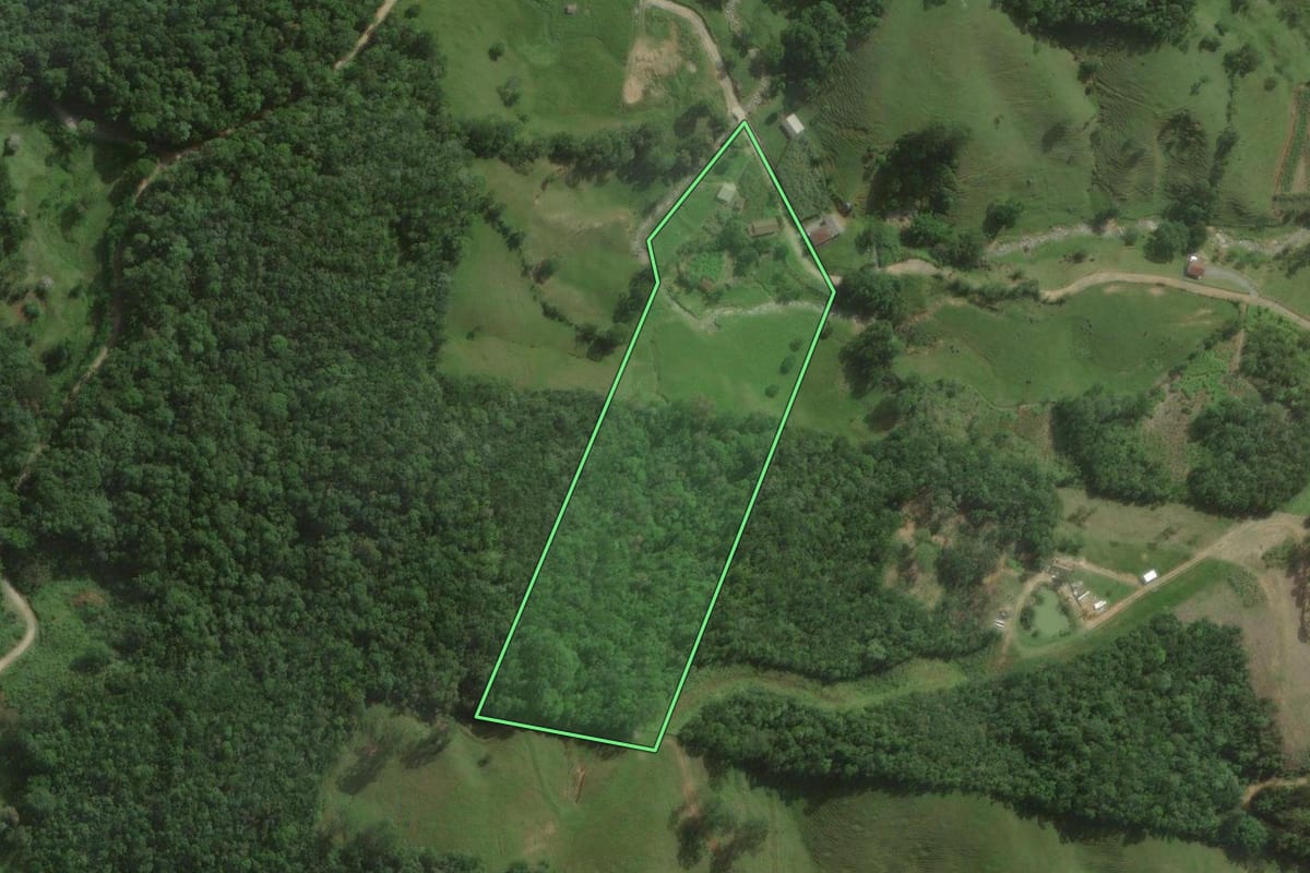 Imagem de satélite do imóvel rural em Santo Amaro da Imperatriz (SC), com o contorno declarado no CAR desenhado por cima.