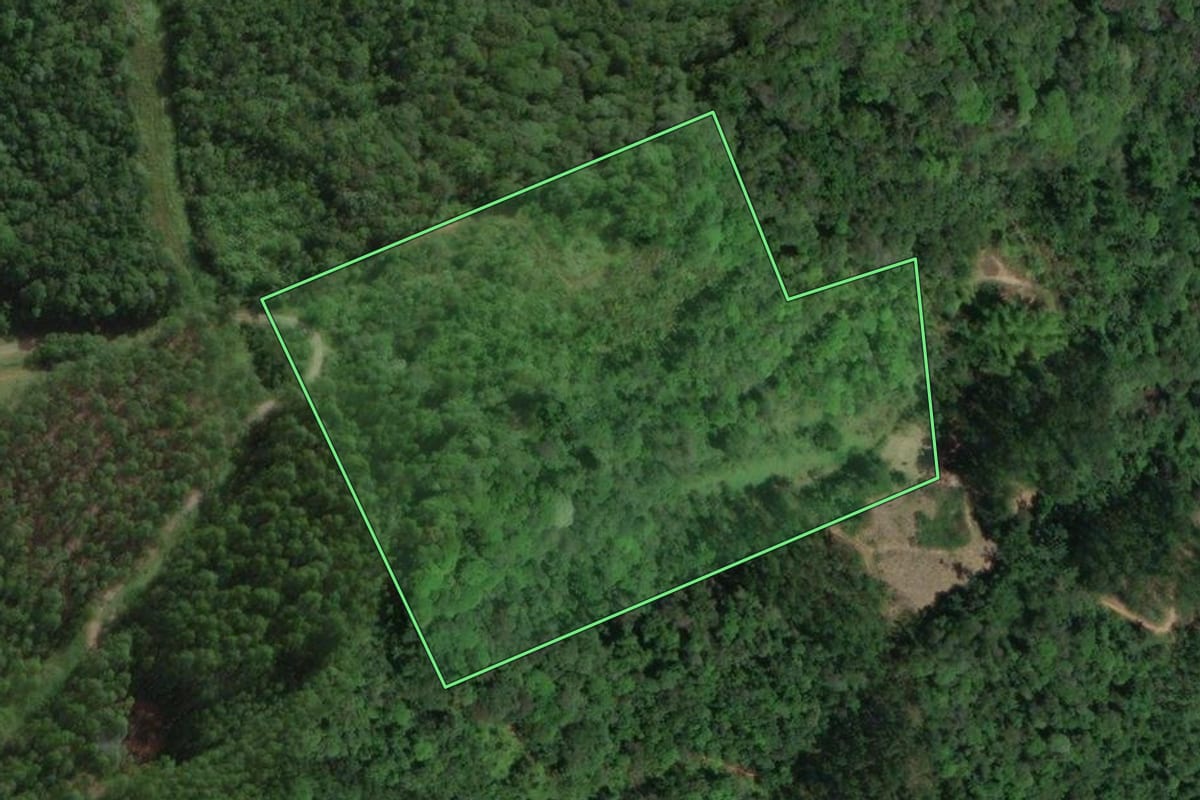 Imagem de satélite do imóvel rural em Santo Amaro da Imperatriz (SC), com o contorno declarado no CAR desenhado por cima.