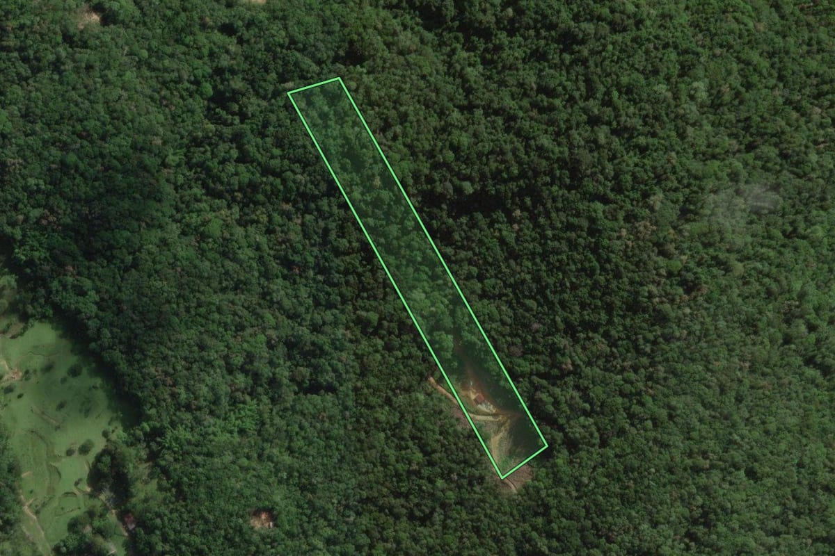 Imagem de satélite do imóvel rural em Santo Amaro da Imperatriz (SC), com o contorno declarado no CAR desenhado por cima.
