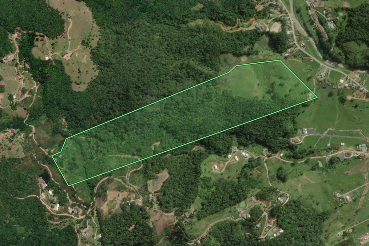 Imagem de satélite do imóvel rural em Santo Amaro da Imperatriz (SC), com o contorno declarado no CAR desenhado por cima.