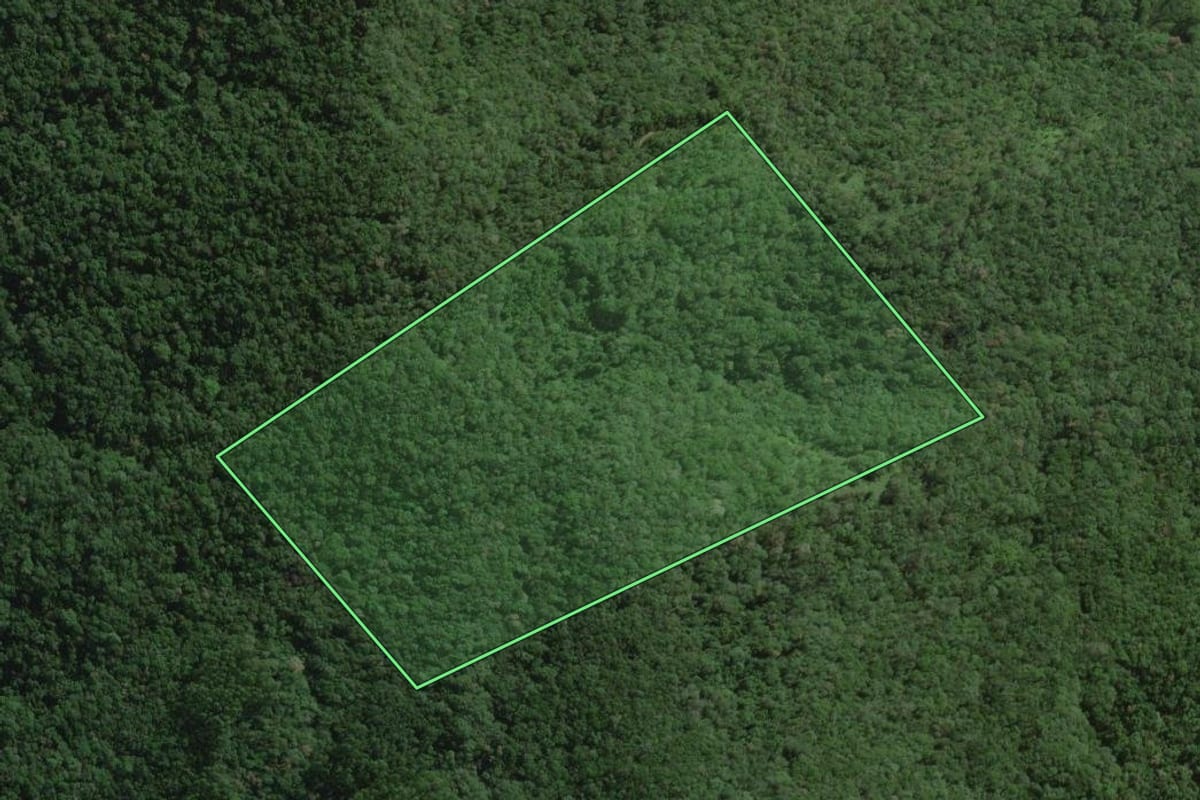 Imagem de satélite do imóvel rural em Santo Amaro da Imperatriz (SC), com o contorno declarado no CAR desenhado por cima.