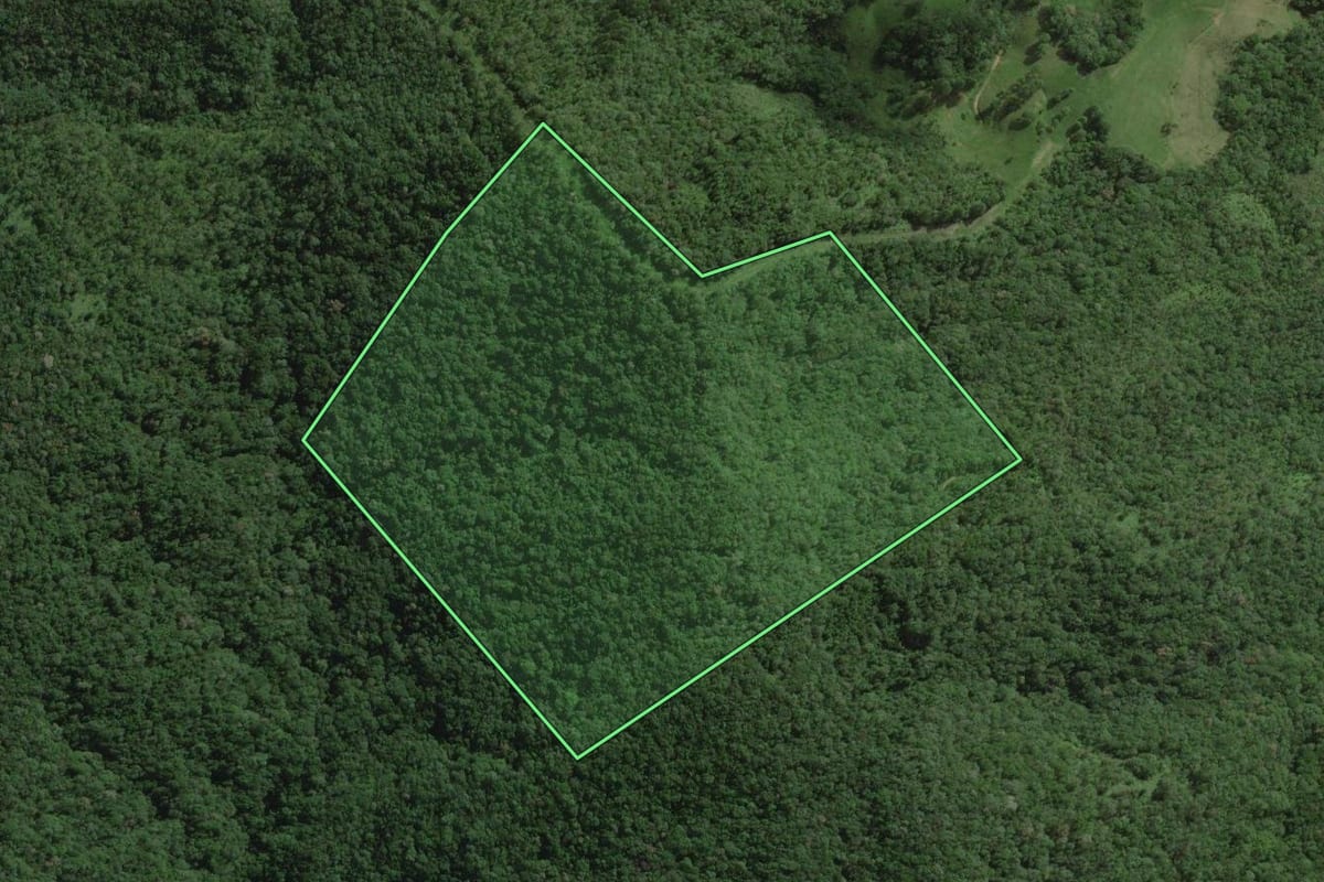 Imagem de satélite do imóvel rural em Santo Amaro da Imperatriz (SC), com o contorno declarado no CAR desenhado por cima.