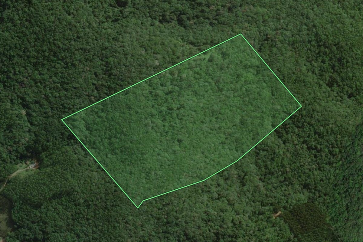 Imagem de satélite do imóvel rural em Santo Amaro da Imperatriz (SC), com o contorno declarado no CAR desenhado por cima.