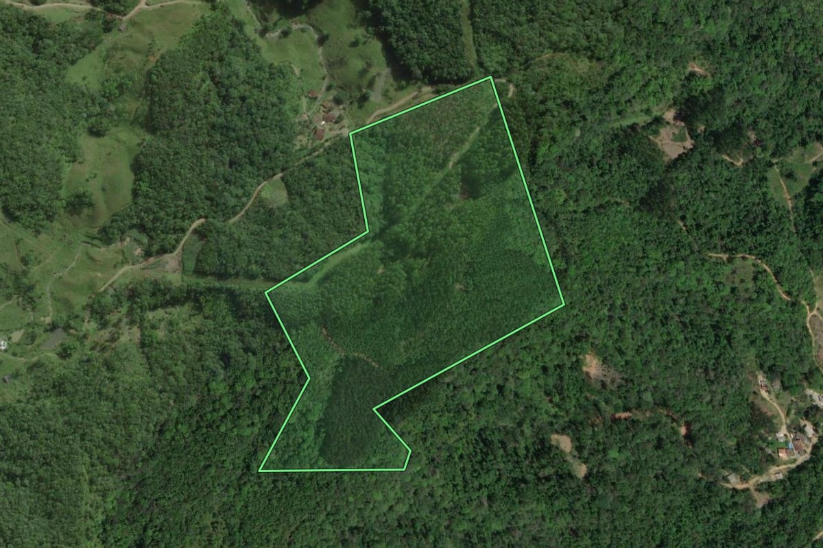 Imagem de satélite do imóvel rural em Santo Amaro da Imperatriz (SC), com o contorno declarado no CAR desenhado por cima.