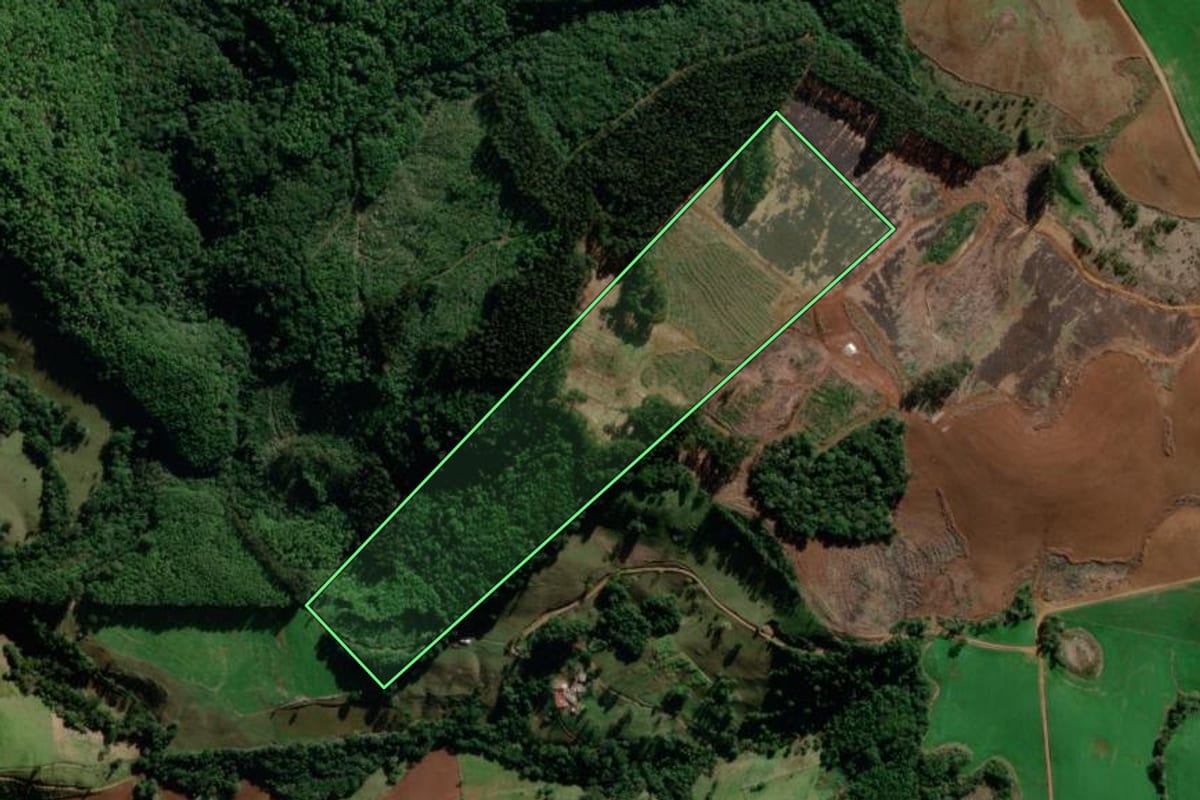 Imagem de satélite do imóvel rural em São Bernardino (SC), com o contorno declarado no CAR desenhado por cima.