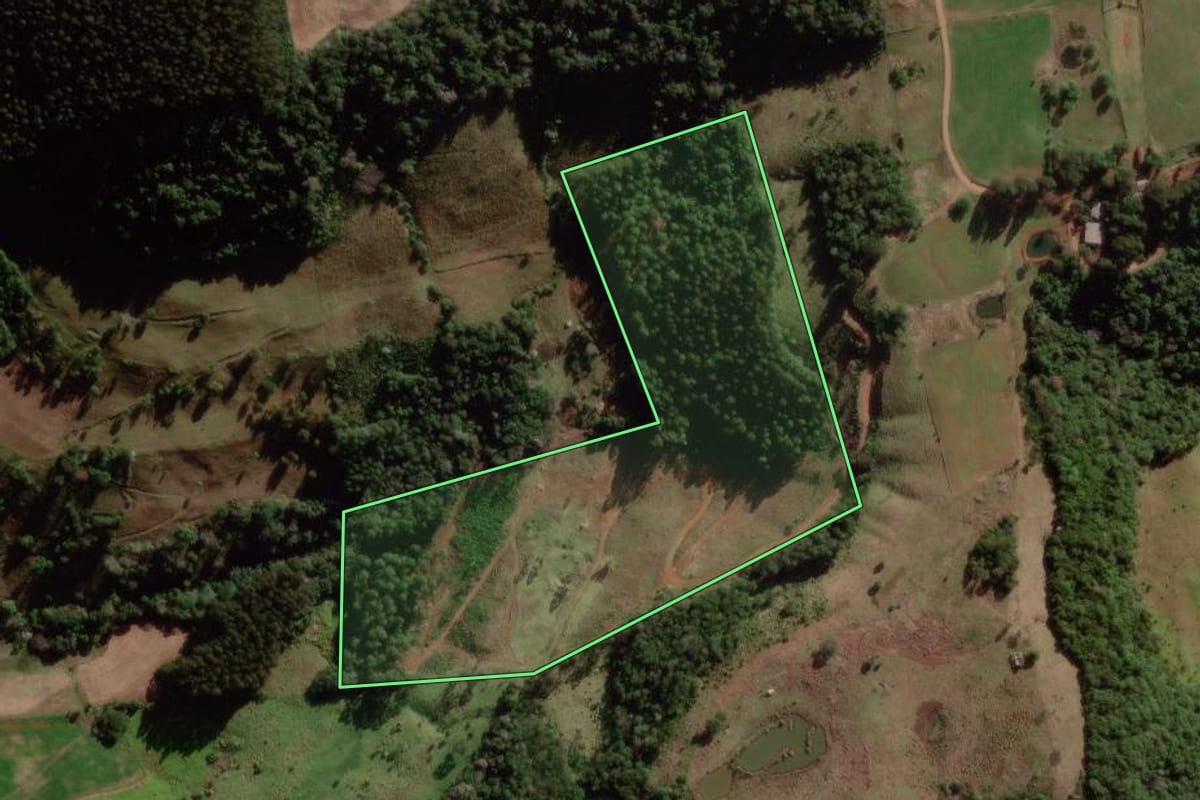 Imagem de satélite do imóvel rural em São Bernardino (SC), com o contorno declarado no CAR desenhado por cima.