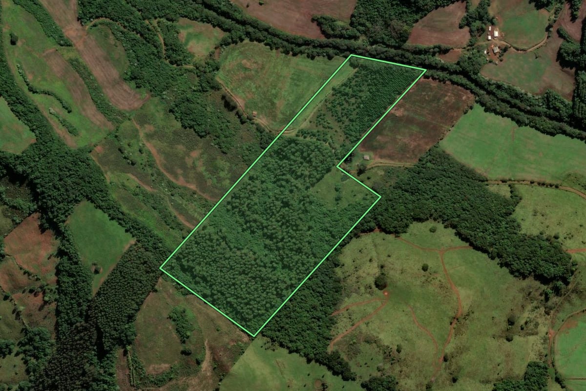 Imagem de satélite do imóvel rural em São Bernardino (SC), com o contorno declarado no CAR desenhado por cima.