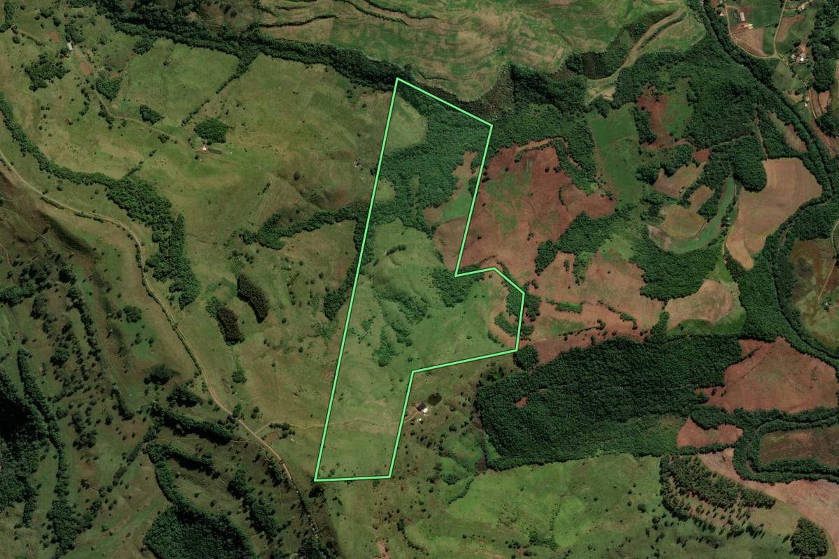 Imagem de satélite do imóvel rural em São Bernardino (SC), com o contorno declarado no CAR desenhado por cima.