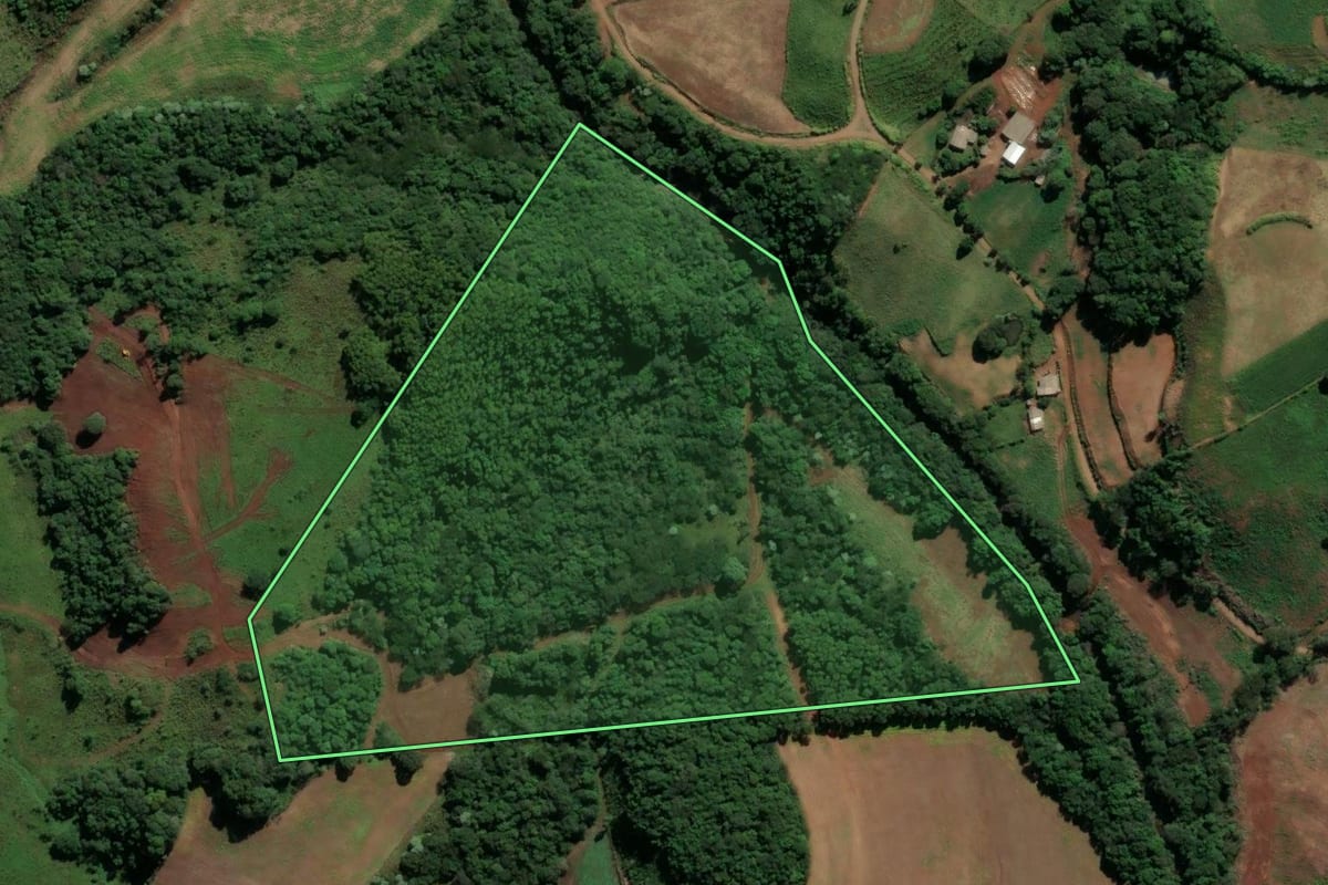Imagem de satélite do imóvel rural em São Bernardino (SC), com o contorno declarado no CAR desenhado por cima.