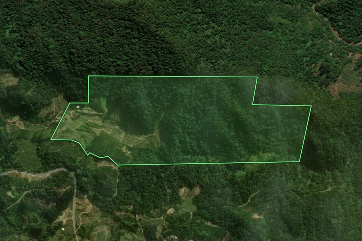 Imagem de satélite do imóvel rural em São Bento do Sul (SC), com o contorno declarado no CAR desenhado por cima.