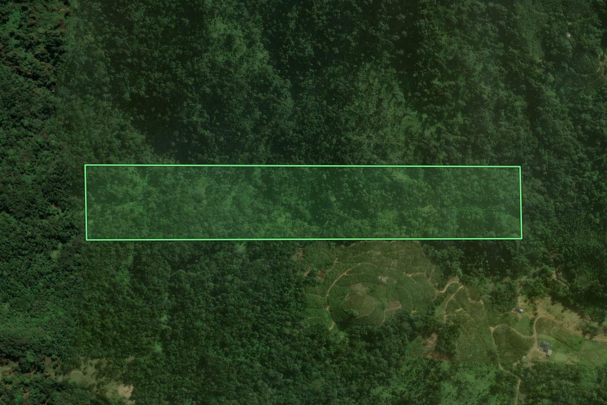 Imagem de satélite do imóvel rural em São Bento do Sul (SC), com o contorno declarado no CAR desenhado por cima.