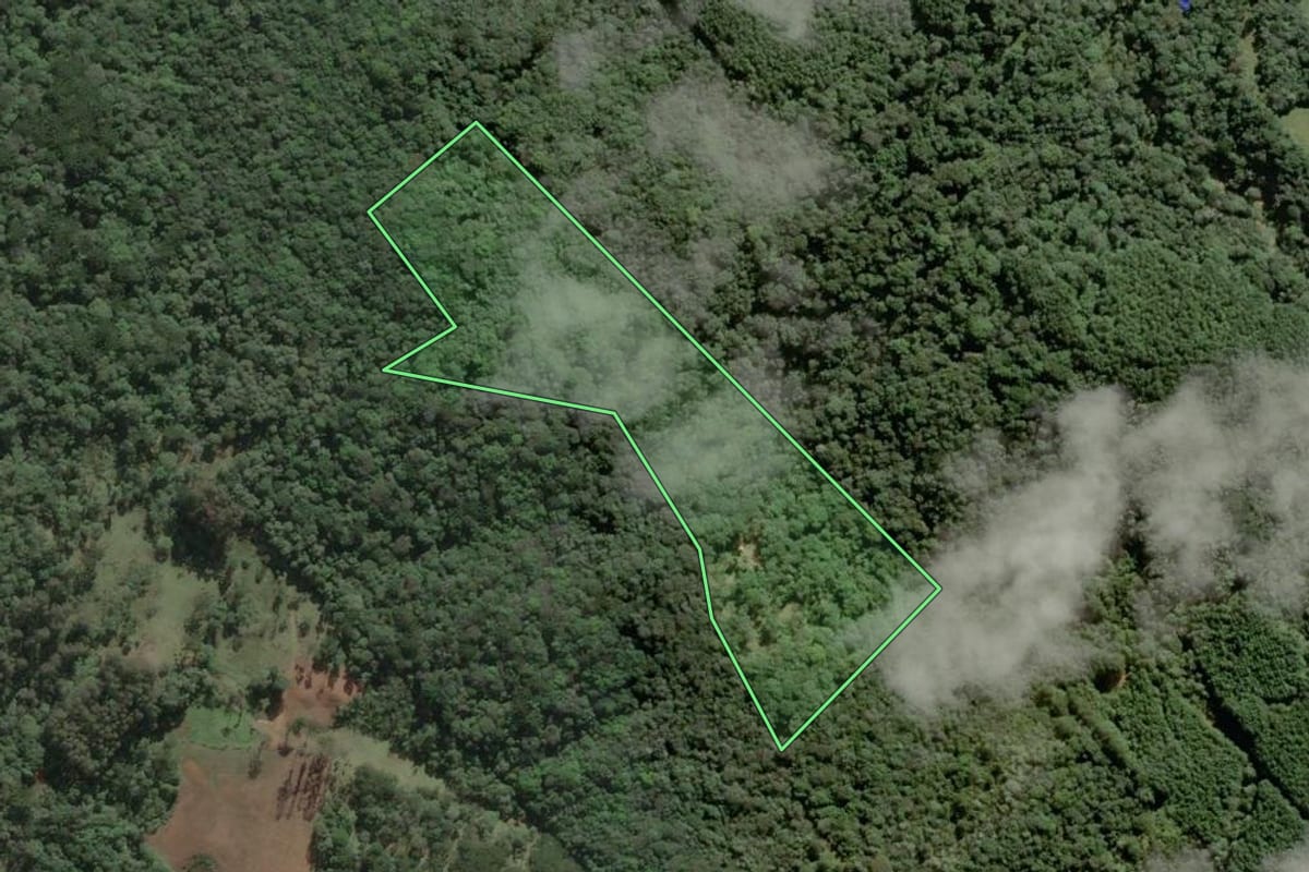 Imagem de satélite do imóvel rural em São Bento do Sul (SC), com o contorno declarado no CAR desenhado por cima.