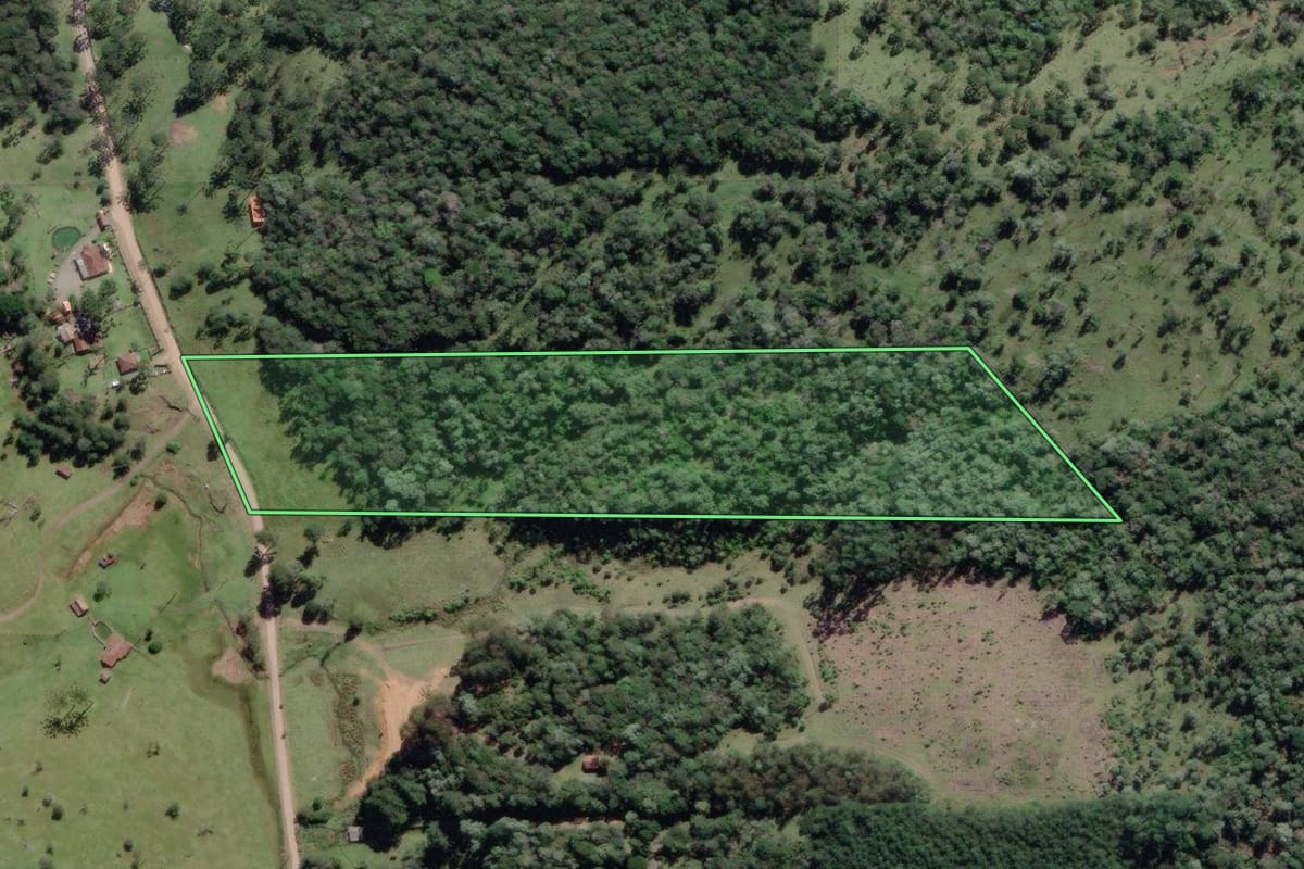 Imagem de satélite do imóvel rural em São Bento do Sul (SC), com o contorno declarado no CAR desenhado por cima.