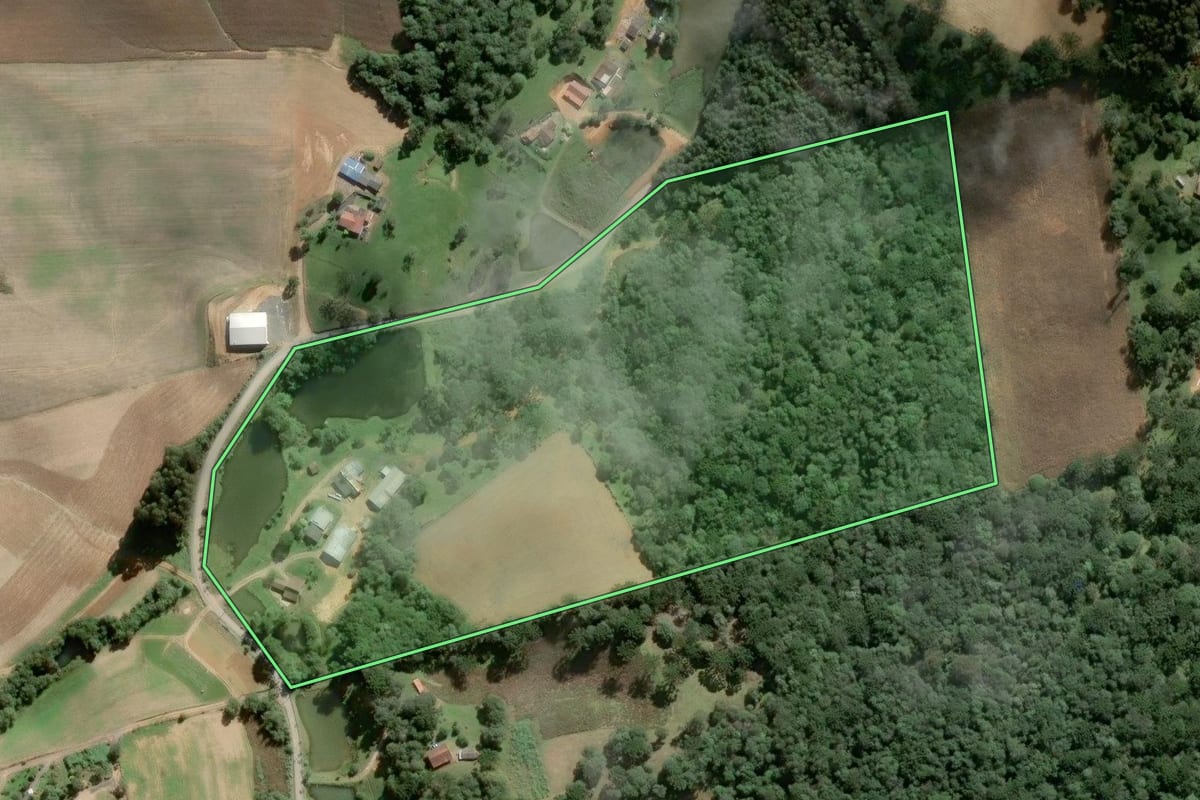 Imagem de satélite do imóvel rural em São Bento do Sul (SC), com o contorno declarado no CAR desenhado por cima.