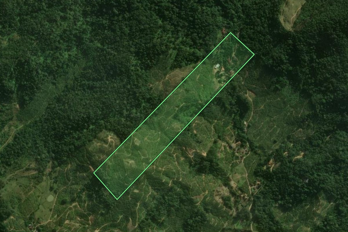 Imagem de satélite do imóvel rural em São Bento do Sul (SC), com o contorno declarado no CAR desenhado por cima.