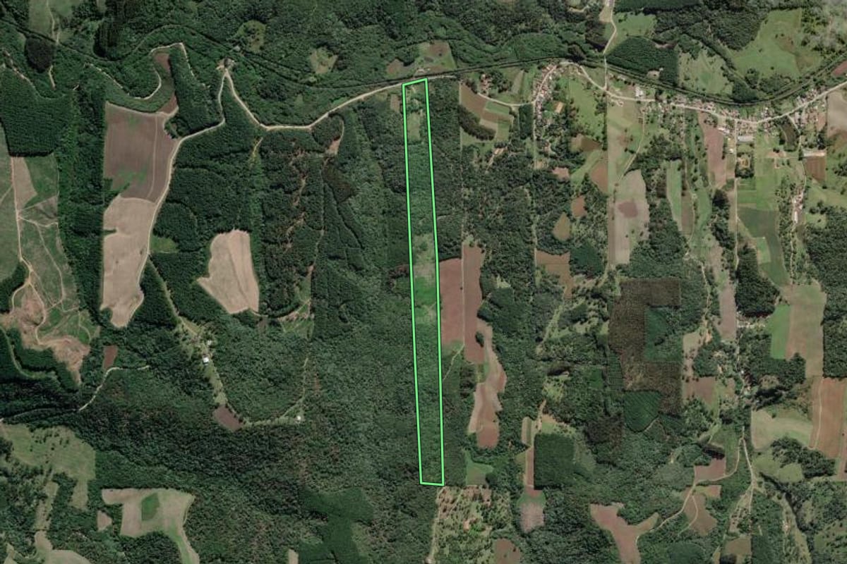 Imagem de satélite do imóvel rural em São Bento do Sul (SC), com o contorno declarado no CAR desenhado por cima.
