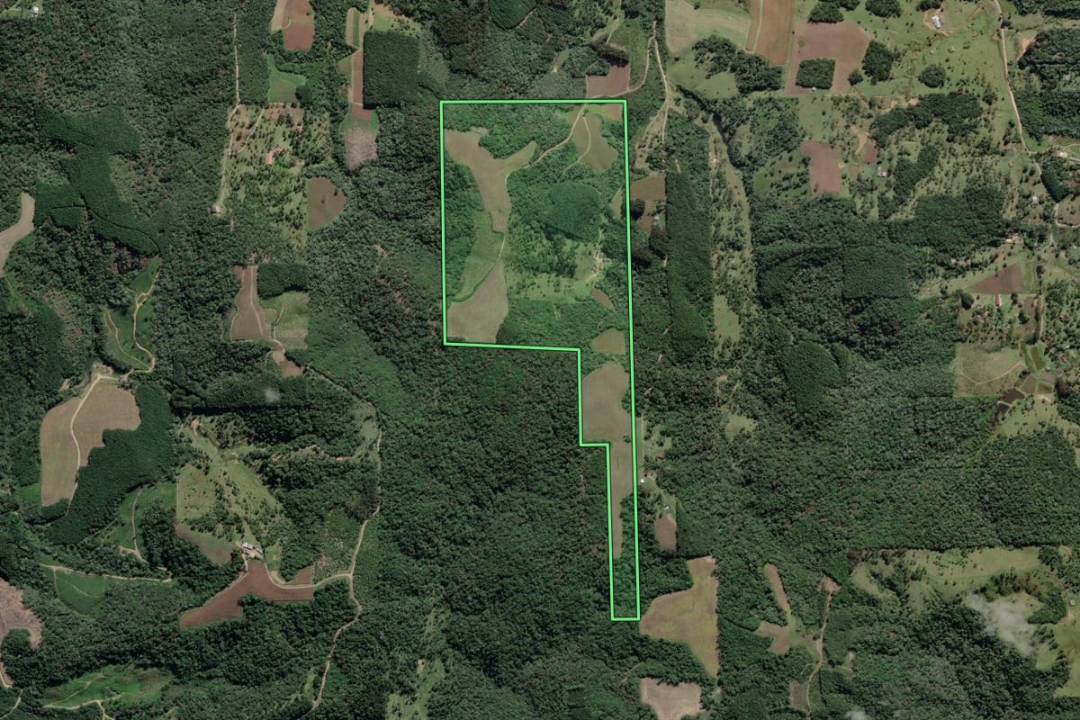 Imagem de satélite do imóvel rural em São Bento do Sul (SC), com o contorno declarado no CAR desenhado por cima.