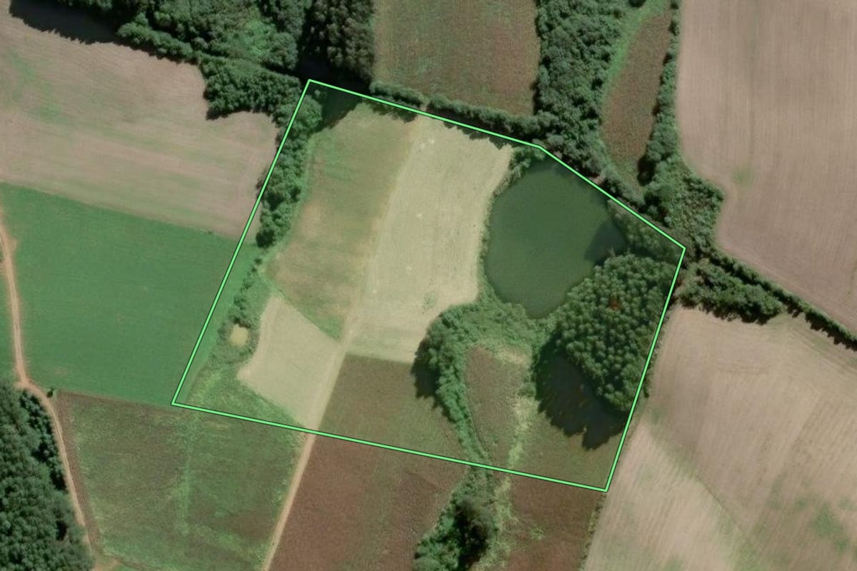 Imagem de satélite do imóvel rural em São Bento do Sul (SC), com o contorno declarado no CAR desenhado por cima.