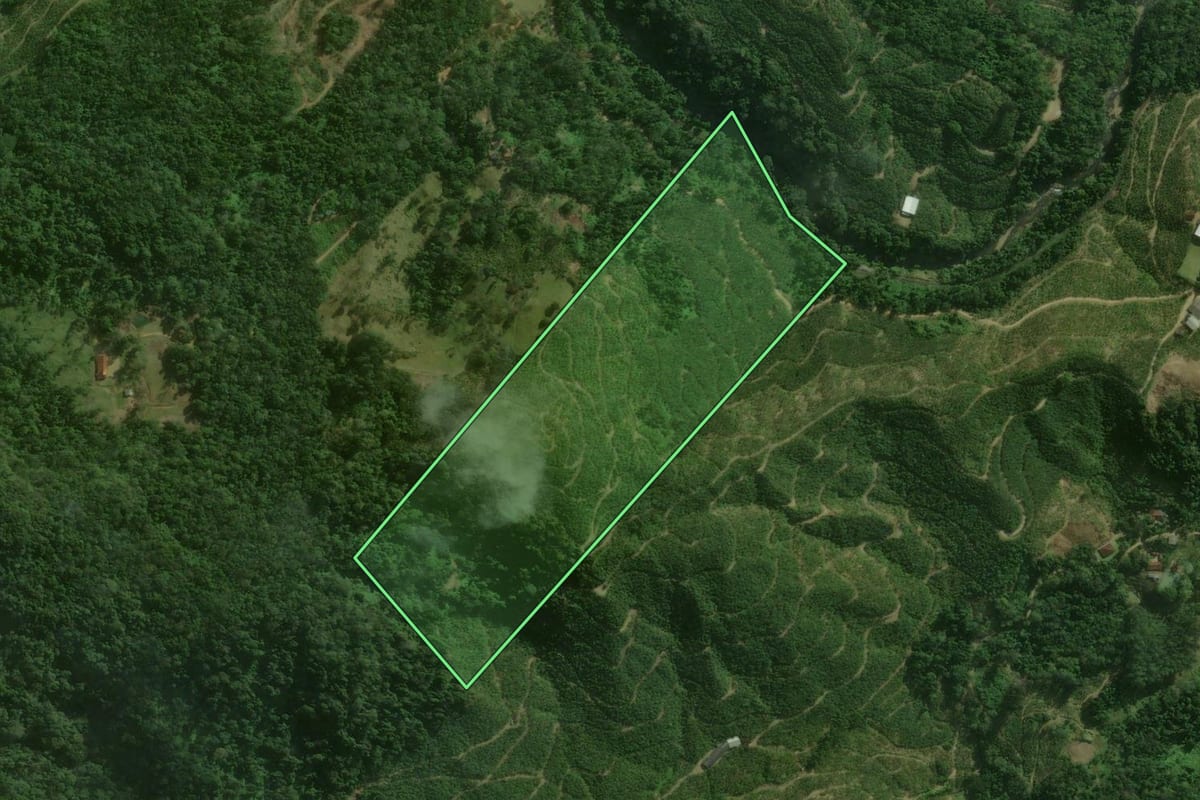 Imagem de satélite do imóvel rural em São Bento do Sul (SC), com o contorno declarado no CAR desenhado por cima.