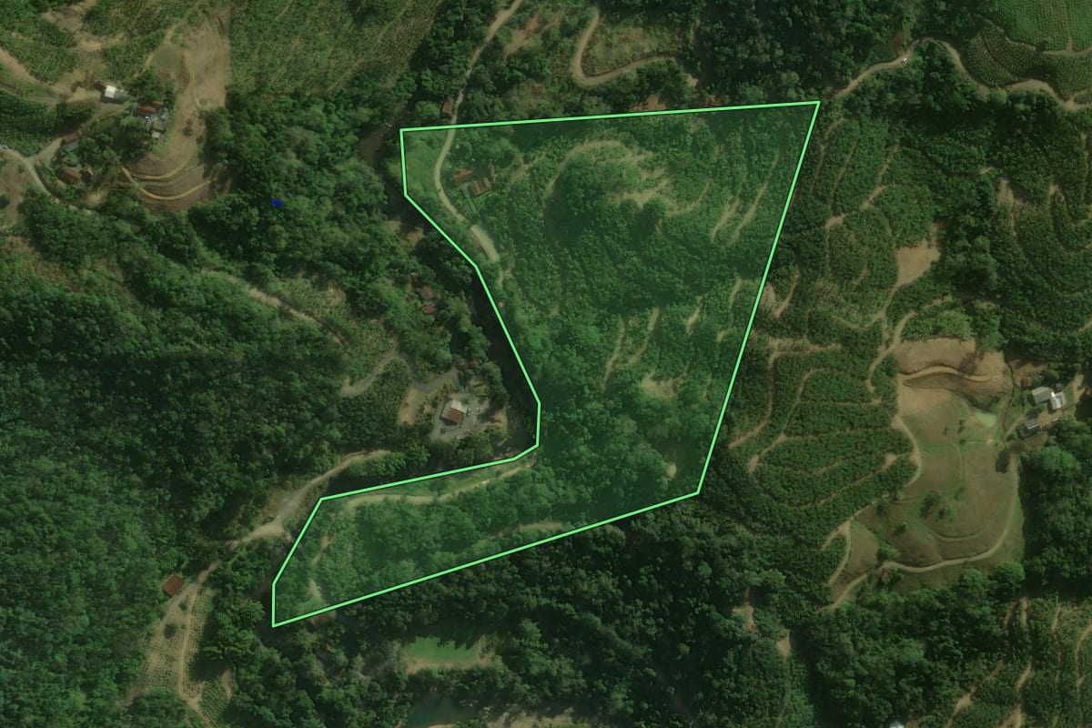 Imagem de satélite do imóvel rural em São Bento do Sul (SC), com o contorno declarado no CAR desenhado por cima.